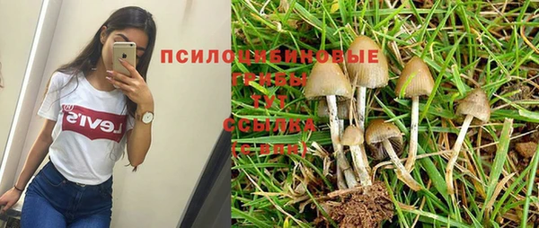 ГАЛЛЮЦИНОГЕННЫЕ ГРИБЫ Заводоуковск