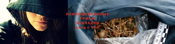 ГАЛЛЮЦИНОГЕННЫЕ ГРИБЫ Заводоуковск
