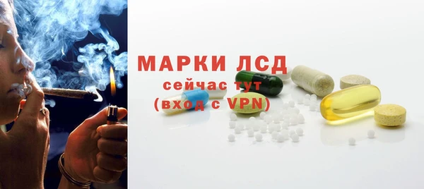 ГАЛЛЮЦИНОГЕННЫЕ ГРИБЫ Заводоуковск
