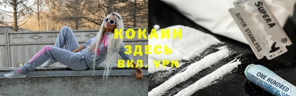 ГАЛЛЮЦИНОГЕННЫЕ ГРИБЫ Заводоуковск