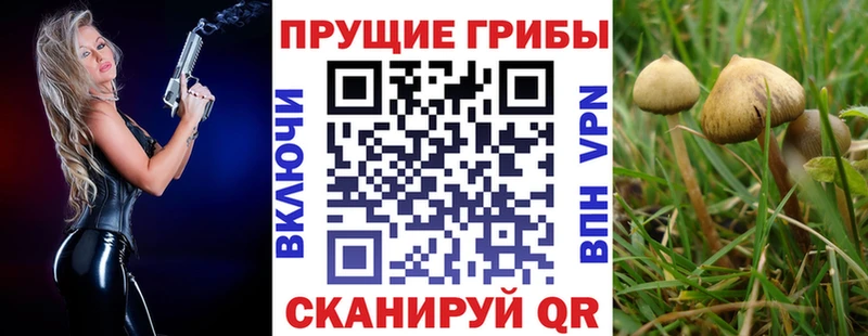 Галлюциногенные грибы Psilocybine cubensis  Ивантеевка 