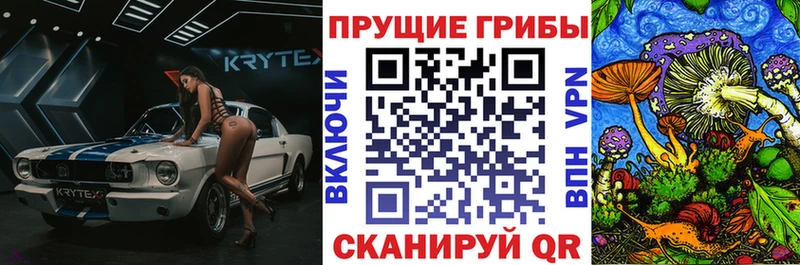 Псилоцибиновые грибы Psilocybe Ивантеевка